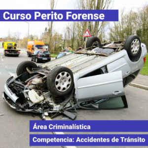 Curso Perito Forense